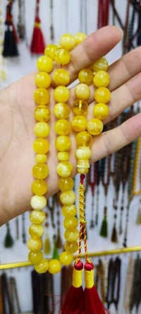 بولوني • اصلي • قديم