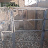 قفص حديد • متر ونص