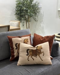 وجوه كوشات • سيت • ٤٣×٤٣