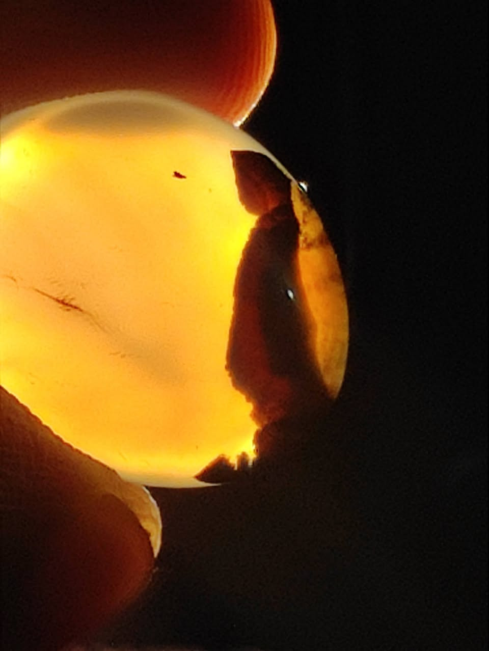 احجار يمانية طبيعية للبيع جملة شلع


**إذا كنت صاحب هذا الإعلان وتريد حذفه لأي سبب، رجاءا أرسل رسالة إلى الدعم الفني**