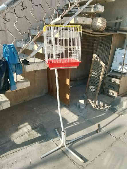 استاند قفص للبيع
وقفص قطط وكلاب هم للبيع 
قيم وخذ 
مكاني بغداد حي الاعلام 
تفاصيل اكثر خاص او تصل *********** وبي واتساب
