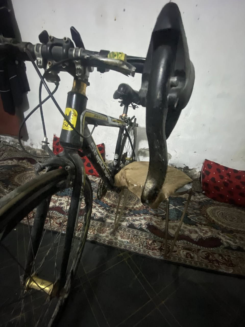 بايسكل رياضي صناعه يابانيه مال باله بعده
بتراب الشركه بس بي مشكله بًـ عكرب ماله بسيطه 
تصلح ب5الف اعتقد المهم 
الباسكل جديد امانه بس محتاج واريد ابيعه 
كله شغال بريكات تخم تايرات جدد تفحص وتاخذ مكاني بغداد مدينة الصدر اتصال *********** واتساب  سعره خاص خاص
