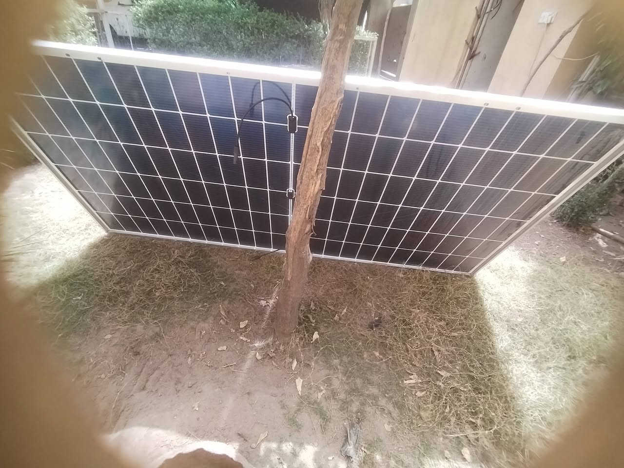 الواح بيهن ضرر للبيع
