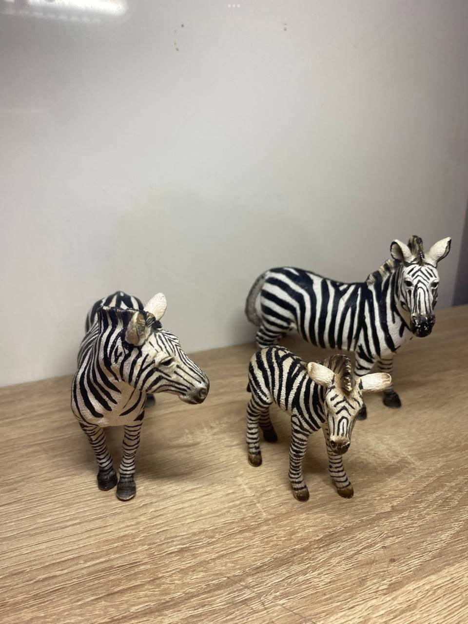 حيوانات وديناصورات اصلية مختومة 
لا يوجد توصيل


**إذا كنت صاحب هذا الإعلان وتريد حذفه لأي سبب، رجاءا أرسل رسالة إلى الدعم الفني**