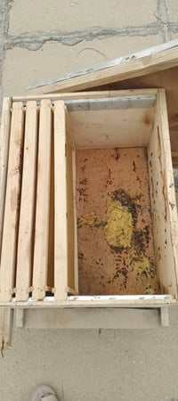 صندوق نحل للبيع مابيه عيب خارجي او داخلي كامل معه 7 اطارات السعر 25 ال...