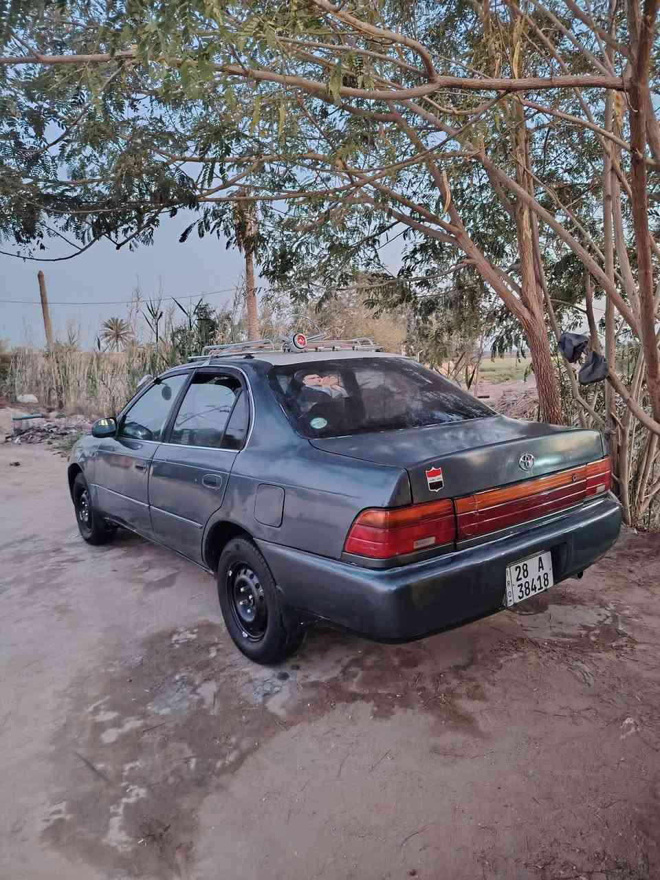 السلام عليكم كورله للبيع موديل 1993 مكينه جديده كير جديد حداديه جديده تخم تاير جديد دواخله جديده مكفوله من ضربه ومن كصه المكان النجف كوفه عباسيه السعر 52 ***********
