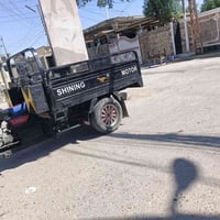 ستوته صقر • موديل ٢١ • أوراق كامله