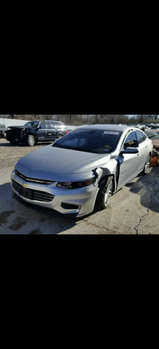 شلونكم حبايب
رايد مراوس 17 باحدث
المهتم بالمراوس يجي ونتفاهم عالفرق والتفاصيل
***********مكاني كربلاء
