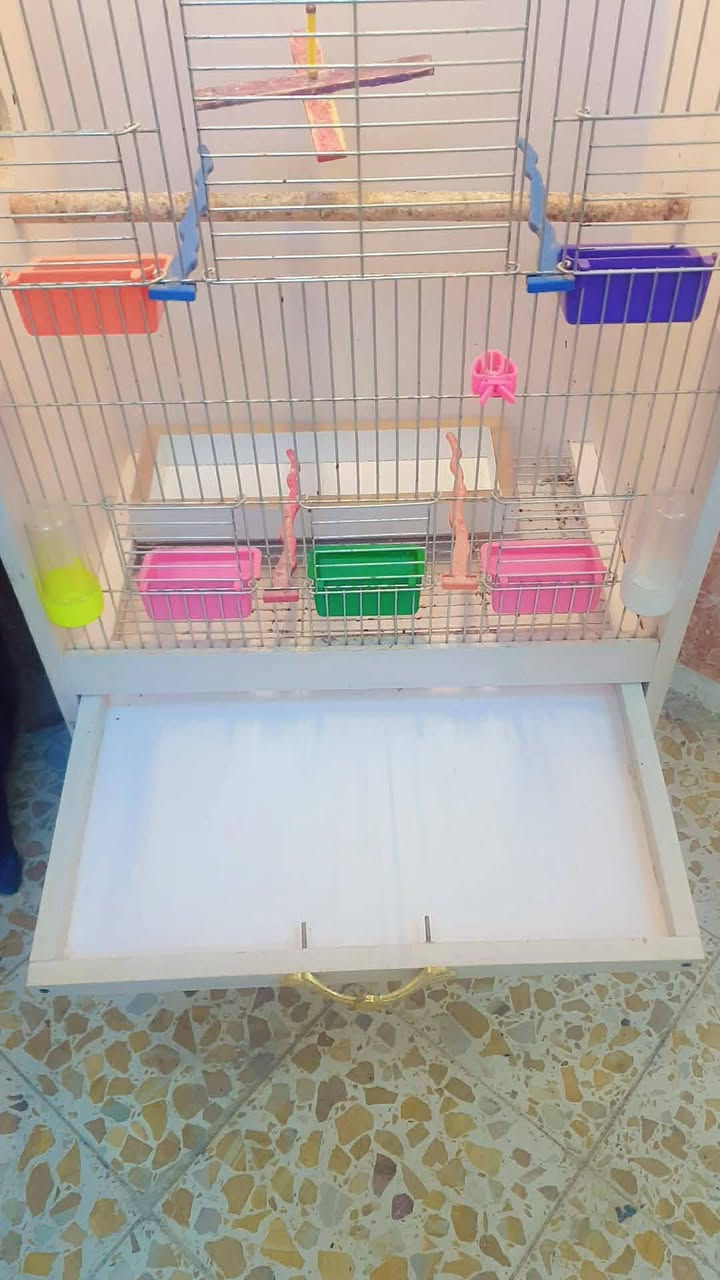 للبيع مدينة الصدر


**إذا كنت صاحب هذا الإعلان وتريد حذفه لأي سبب، رجاءا أرسل رسالة إلى الدعم الفني**