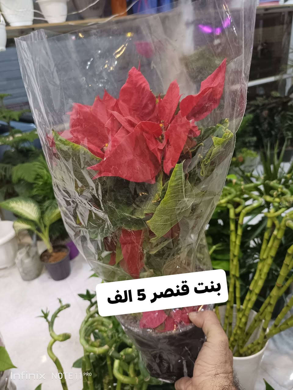 الانبار الرمادي العزيزية مكان الجديد...من جهة شارع العام  شارع ميسلون  اول فرع على اليمين *********** ... يوجد توصيل داخل الرمادي...
