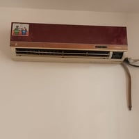 سبلت • شغال • ٢ طن