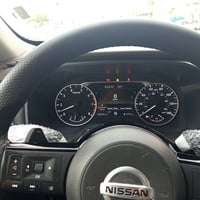 نيسان روغ • ٢٠٢١ • دفع رباعي