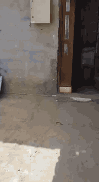 بيت 110 متر شارع المختار الثقفي وباقي التفاصيل داخل الفيديو بناء بلوك الجهه اليمنه قرب المستوصف قرب المدرسه الصينيه 

السعر 48 مع المجال البسيط 

مراجعه مكتب انوار ال الصدر ‏‪***********‬‏ تصال فقط 

‏‪***********‬‏ واتساب فقط
