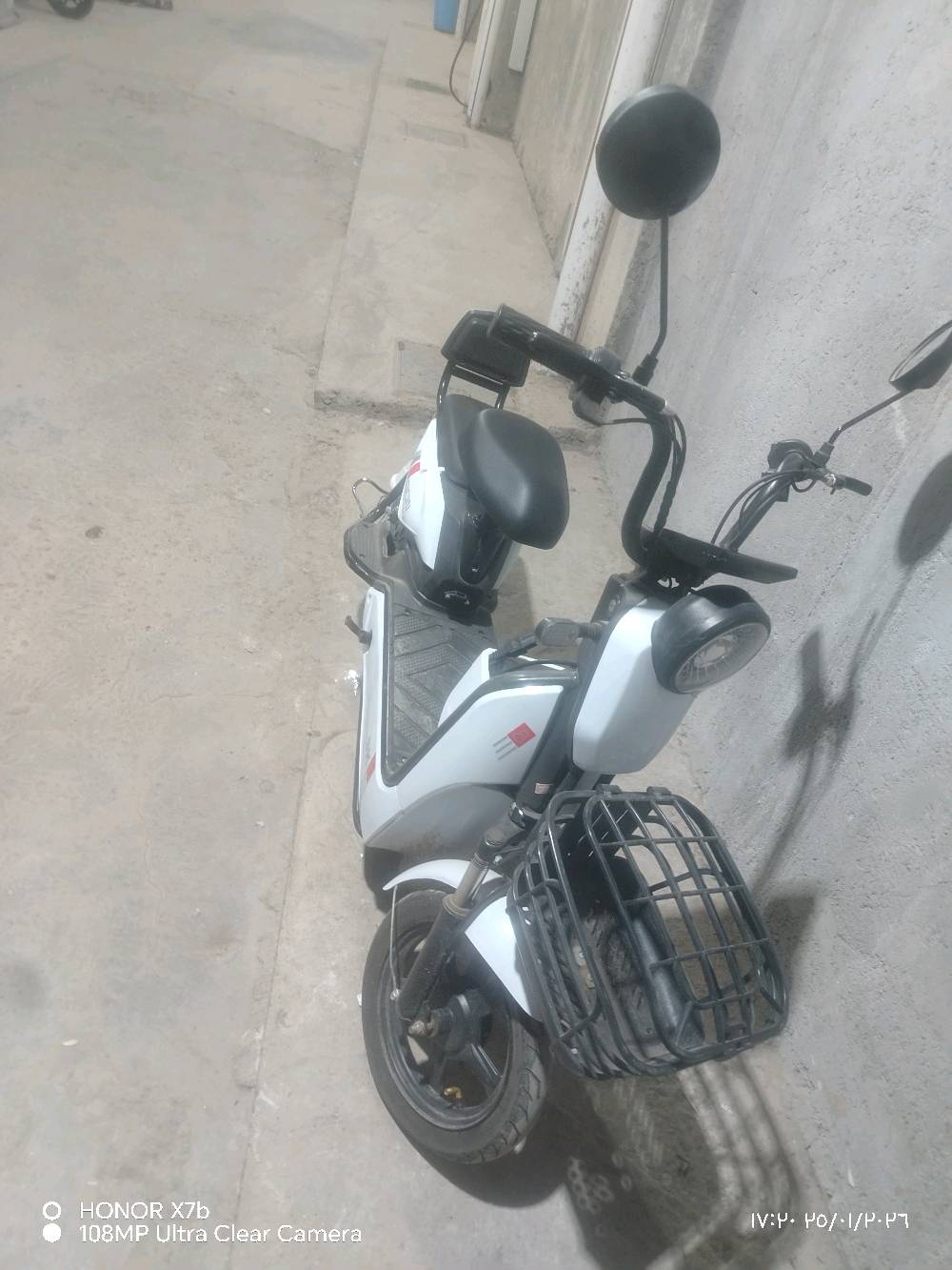 كربلاء فالكه المركزيه 
