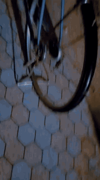 سلام عليكم ورحمة الله وبركاته اخواني بايسكل اللبيع واللمراوس عوزه بس مداكر البايسكل نضيف من معنه الكلمه الله شاهد  راسلني واتساب 
*********** 
وتدلل سعر 65وبي مجال 
العنوان البصره زبير
