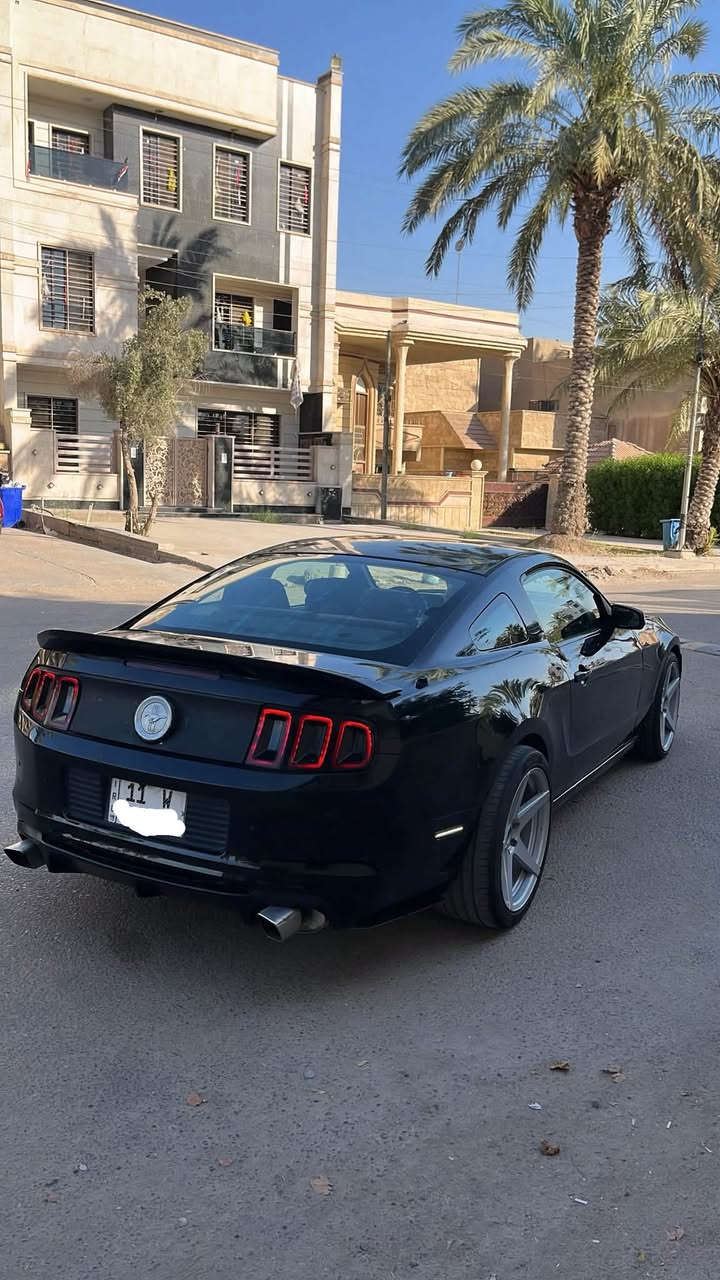 السلام عليكم الحنطور للبيع او المراوس 🐎

موستنك 2013 v6 

السياره باسمي تحويل ثاني يوم رقمها بغداد 

ماشية 90 ميل وبيها قطعتين صبغ  فقط بنيد وجاملغ 

عليها برمجة طلقات وهدرز وتفريغ 

صدر امامي خلفي جديد 

شباك ودفيوزر ولحيه شيلبي 

منضومه المي كلها جديده صار فتره بسيطه من بدلت ( راديتر مروحه واتر بم ولف حماوه ) كله جديد 

تخم بلكات نوزلات فيت بم كله جديد تنسا 

باتري وسلف جديد 

شاشة من احسن نوعيه شديتلها وتدعم ( الكار بلي ) ولا تحمى ولا تعلك 

اكزوز ريمونت يعني لمرور يصير صاحبك 

ويل 20 نجمة  تو سايز اصلي  بي نصبه مخيفه

زرع عدسات عيون الشيطان يم اسرار الاسدي 

مكينه وكير وكهربائيات  كفاله وتفحص وين متريد 

اعتذر مرح اذكر السعر لان هوايه عالم تكسر بحلال الناس وسياره مصروف عليها هوايه ومتتقارن بل مهجومات ( السعر خاص ) 
*********** واتس
