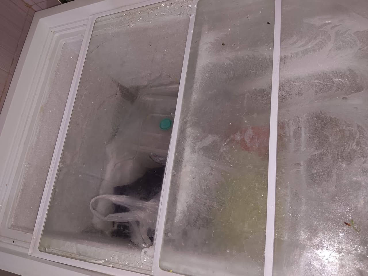 السلام عليكم الغراض للبيع نظيفه كلش اخو جديد المكان الدوانيه ام الخيل سويت لاند


**إذا كنت صاحب هذا الإعلان وتريد حذفه لأي سبب، رجاءا أرسل رسالة إلى الدعم الفني**