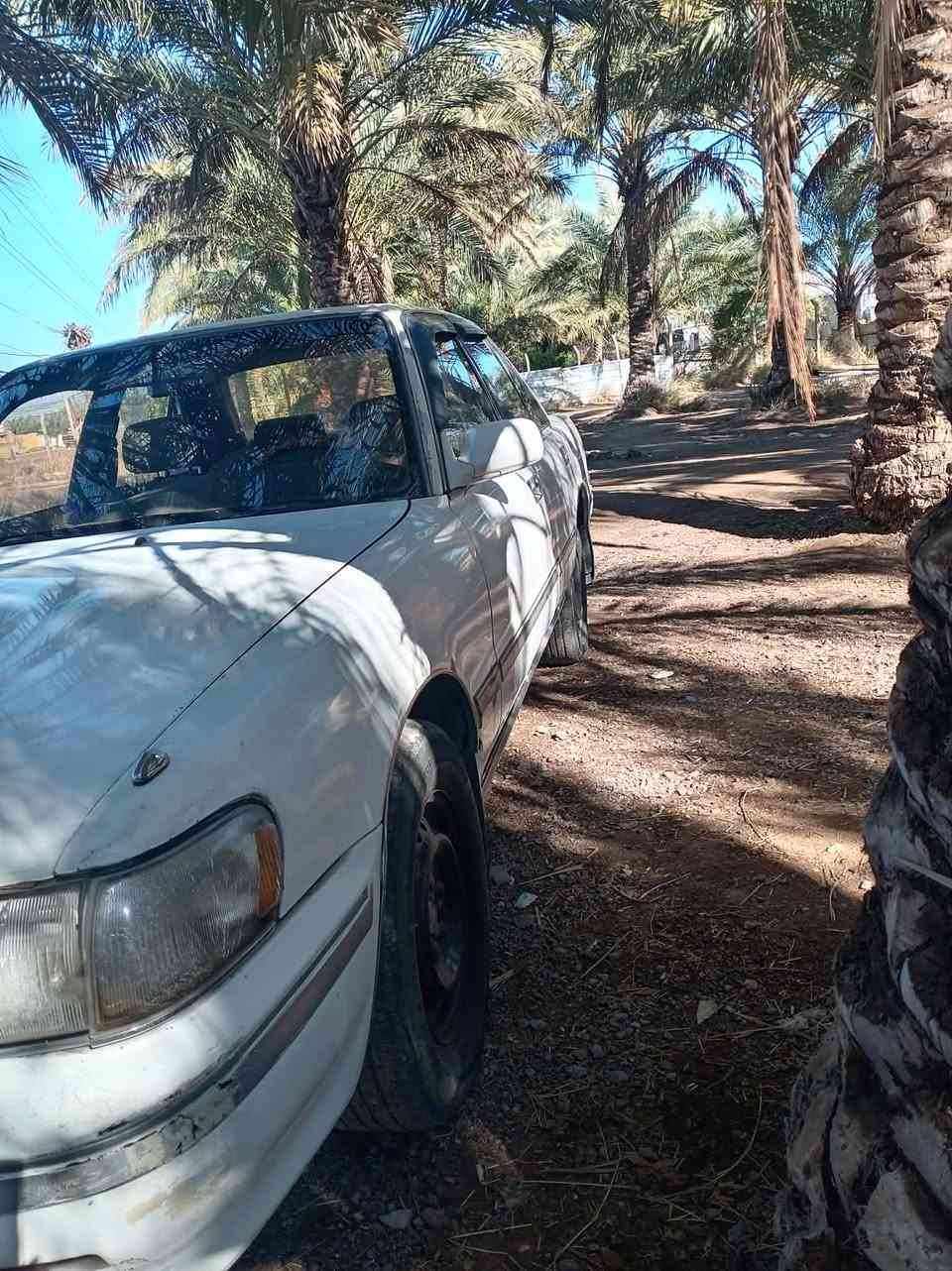 السلام عليكم
مارك تيوتى عظم كربلائي
موديل 1992
مابيه اي ضربه بس شويه يم جملغ الخلفي
محرك وكير خير من الله
حداديه زينه
وبسمي
ورقمه بغداد خصوصي الاماني
سنويه ماصقطا
بيه شويه خيسات بل جملغات
سياره بلادي ودواخل نظيفات
سياره حلوه للإستفسار الاتصال بالرقم ***********
