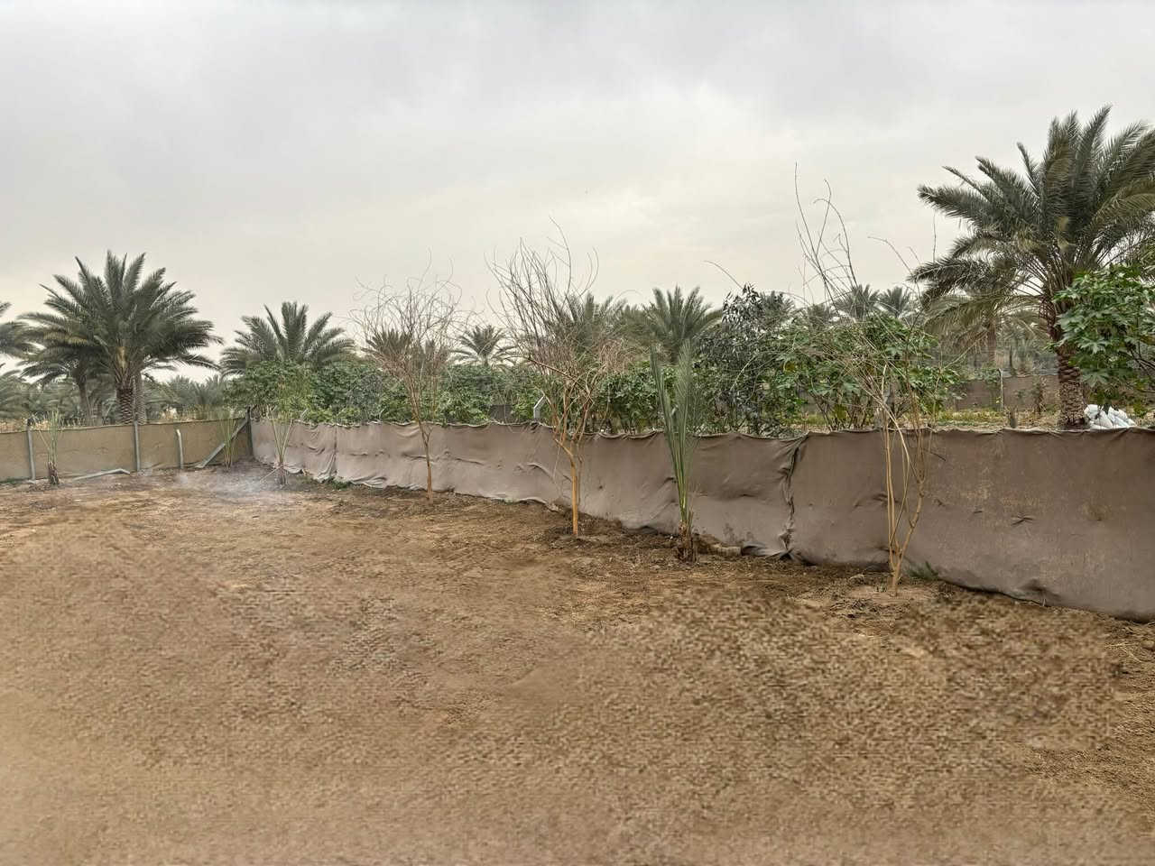 قطعة للبيع طابو زراعي اقرار محكمة من المالك المساحة ٥٠٠ متر.. كافة الخدمات كهرباء  ماء  تبليط أمام القطعه عرض الشارع 10 متر . المكان ..شارع بغداد كربلاء عمود ١٦٥ قرب منتجع الرحمن.. السعر ٣٨ مع مجال قليل للاستفسار الاتصال بالرقم
***********
