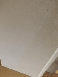 ژوورێکی کامل سەقف سپی  ٠٧٧٢٩٩٦٩٣٩٥