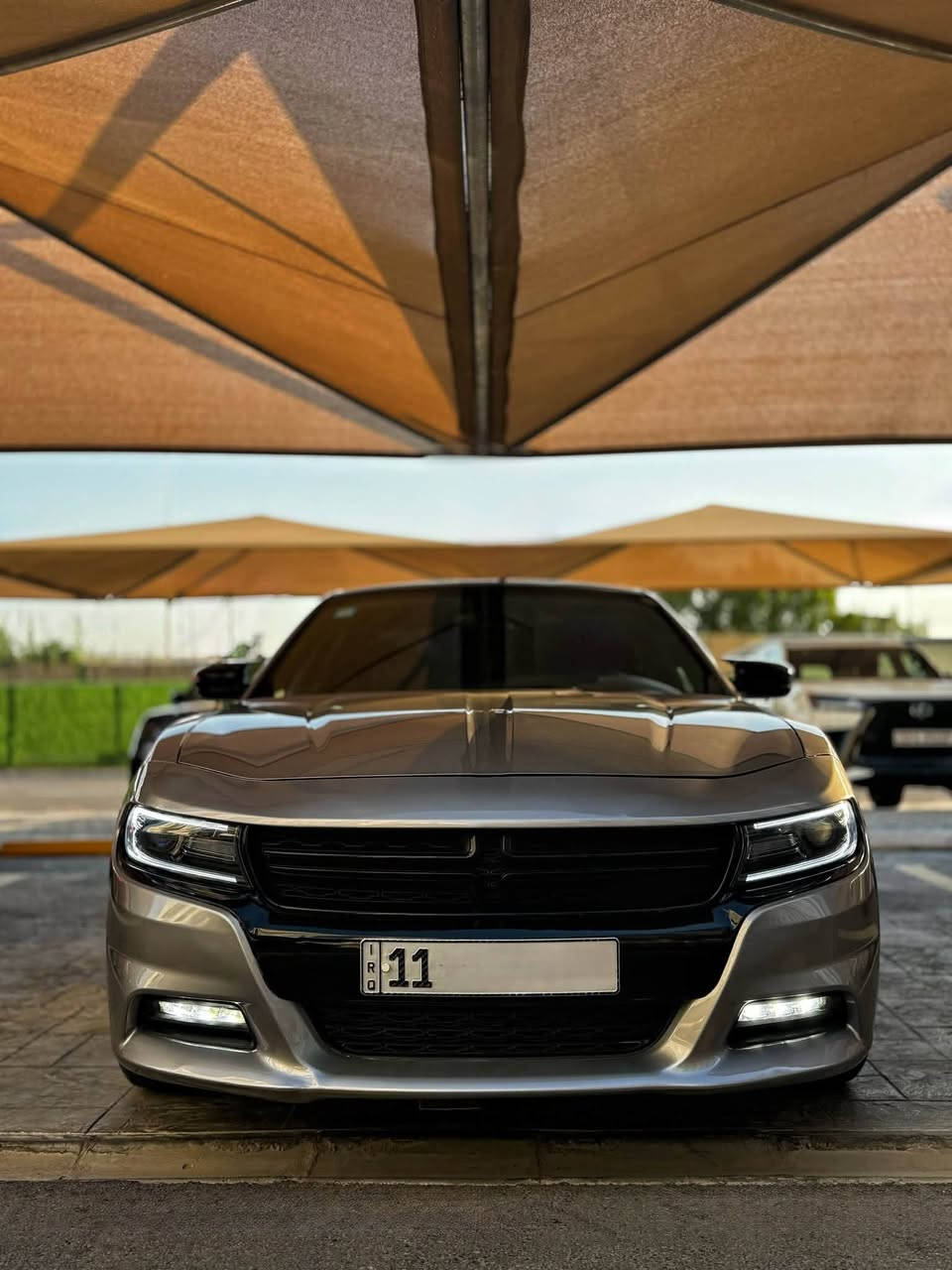 للبيع ب سعر البلاش 134 ورقة تشارجر SXT 2015 كفالة عامة 3.6 رقم بغداد الدولي ب اسمي شخصياً
هزة وسنوية جديد تحويل ثاني يوم _كاميرات خلفية _شاشة apple car play _سستم صوت 6 سماعات دمام_دخول ذكي تشغيل عن بعد _تبريد ثلج _كشنات رياضي حضن قماش _مثبت سرعة _تحكمات بل ستيرين _اضاءة لد امامي زينون _تايرات 4 جدد اصلي _ السيارة مكينة وكير واكسل وصدر امامي وخلفي وتبريد بلادي وبل جيس _كاميرا خلفية وحساسات _مري هيتر  السيارة 2015 مرمزة 2017 فقط تحويل اصولي ب اسمي ثاني  يوم احولك ب اسمك مابيها اي شكال 

السعر 134 ورقة وبيها مجال 

مكاني بغداد الكرخ قرب المطار 

للاستفسار 
***********
