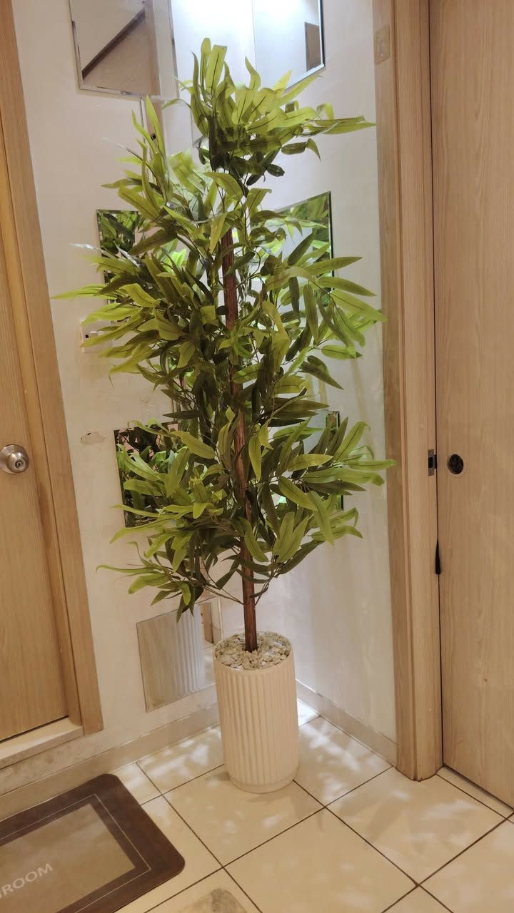 ١٩٠ سم سندانه زجاج السعر ٣٠ الف


**إذا كنت صاحب هذا الإعلان وتريد حذفه لأي سبب، رجاءا أرسل رسالة إلى الدعم الفني**