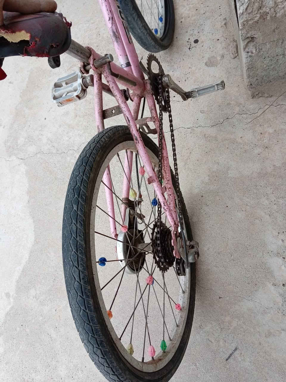 بايسكل للبيع ابيعك فحم 30بي مجال


**إذا كنت صاحب هذا الإعلان وتريد حذفه لأي سبب، رجاءا أرسل رسالة إلى الدعم الفني**