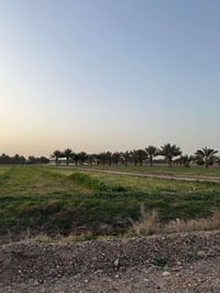 امتلك دونم طابو زراعي سند ٢٥  ابي غريب منطقة ١٠ مناصير والسميلات كامل ...