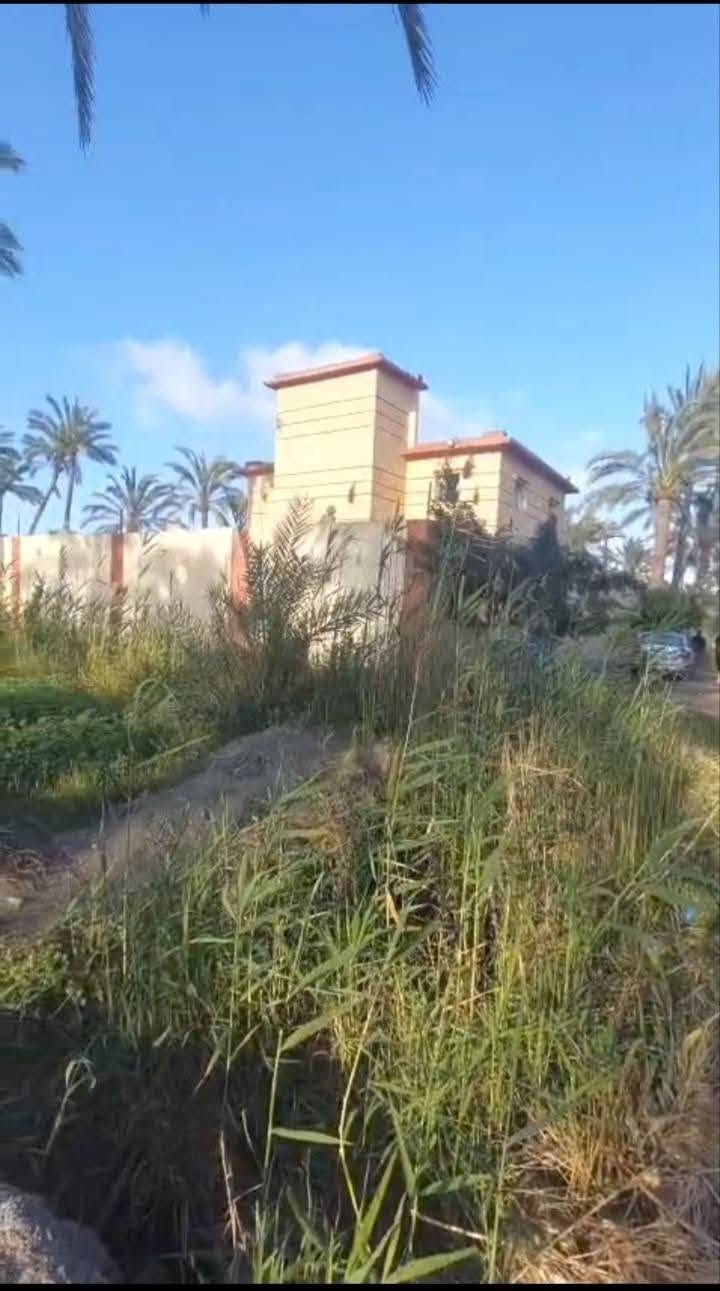 ارض زراعيه للبيع ✨ 
📌 الموقع:
طريق المعمورة – رشيد
تابع مركز كفر الدوار 
📌 المساحة الإجمالية:10 فدان
📌 5 فدان بهم فيلا + حمام سباحة
📌 5 فدان أخرى منفصلين (يفصل بينهم طريق/سكة)
📌مزروعة محاصيل
📌خطوط نخل فاصلة بين كل فدان والآخر
📌نظام صرف داخلي على المصارف الوسطية (تنظيم ممتاز للري والصرف)
📌 أرض خصبة وجاهزة للاستثمار
📌 فيلا داخل الأرض
📌 حمام سباحة
📌 مسجلة شهر عقاري (وضع قانوني سليم)
📌للتواصل:01029105427


**إذا كنت صاحب هذا الإعلان وتريد حذفه لأي سبب، رجاءا أرسل رسالة إلى الدعم الفني**