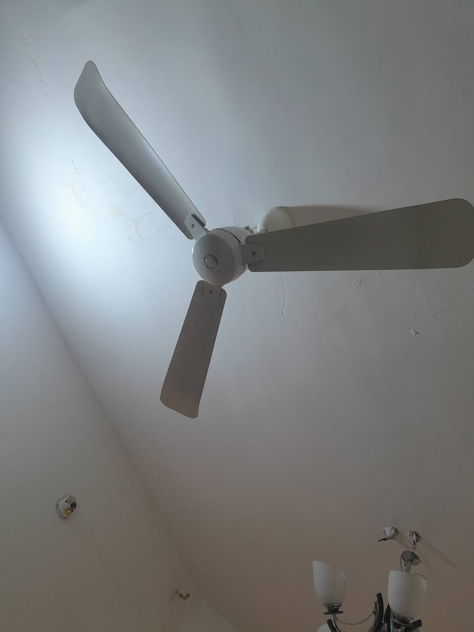 مرحبا.مبرده ستخدام قليل السعر ٨٠غساله تنشيف وغسيل شغاله كلهة السعر ٥٥ ماطور ماء ٣٠الف بنكه اندوله نضيفه السعر ٤٠


**إذا كنت صاحب هذا الإعلان وتريد حذفه لأي سبب، رجاءا أرسل رسالة إلى الدعم الفني**