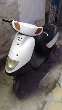 منغولي • شغاله • الناصرية