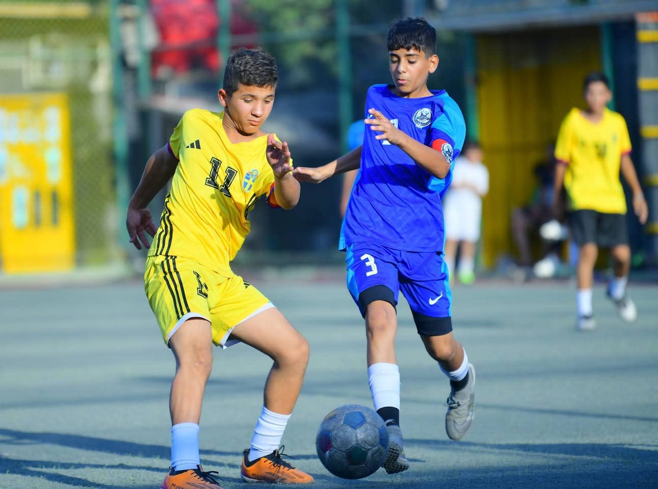 بدي كانون 5D mark 3 فول فريم مع ملحقاتها كامل باتري وشاحنه وكيبل ورام وحزام وجنطه وكيبل نقل صور بغداد ❤️ السعر 875 بيه مجال و


**إذا كنت صاحب هذا الإعلان وتريد حذفه لأي سبب، رجاءا أرسل رسالة إلى الدعم الفني**