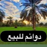قريت الزركان • ٧٥ دونم • طابو زراعي