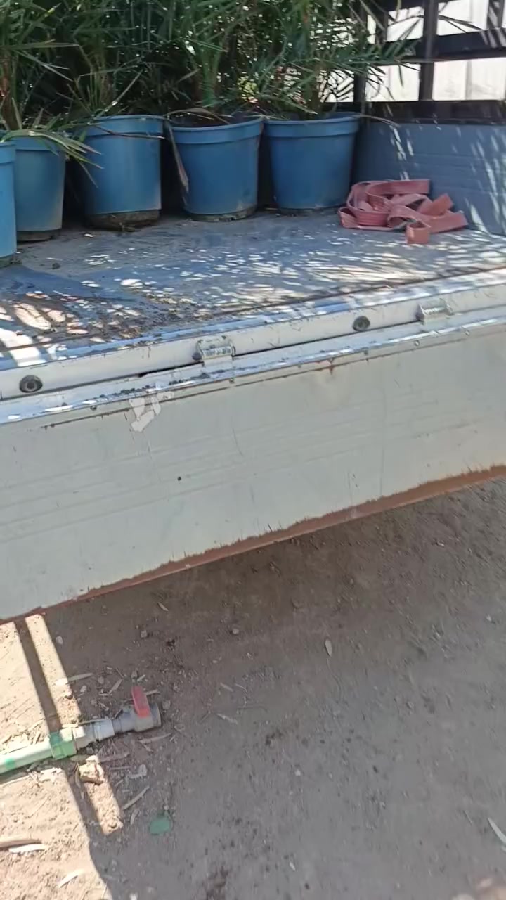 خصومات شهر رمضان يمنه غير 
النخيل🌴 النسيجي البرحي وهواية انواع 
البرحي النسيجي 🌴ارتفاع 2متر 
سعرها قبل الخصم250 الف 
بعد الخصم 210 الف فقط 🔥🔥


**إذا كنت صاحب هذا الإعلان وتريد حذفه لأي سبب، رجاءا أرسل رسالة إلى الدعم الفني**