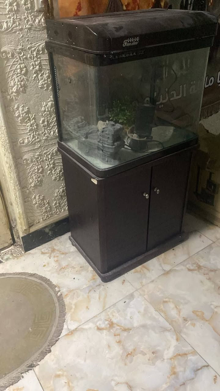 سلام عليكم شباب حوض سمك كامل عوزه بس لد اناره الطول متر ونص العرض 60 النزال 40 هوه وميزه سعره 60 الف وبي شراي انتصل ***********

