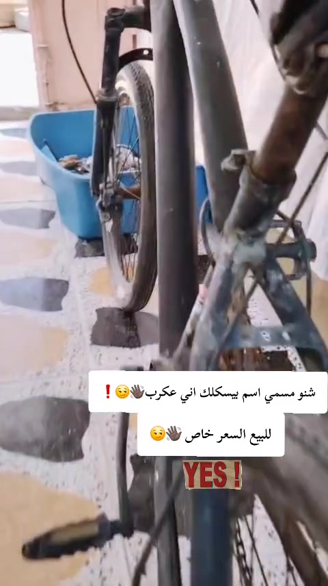 سلام عليكم بايسكل للبيع السعر 25 كلشي مابي بس تاير الوره زجم يرادله الشراي يراسلني سعره 25 قفل 🔓🔓


**إذا كنت صاحب هذا الإعلان وتريد حذفه لأي سبب، رجاءا أرسل رسالة إلى الدعم الفني**