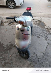 بوتين • كهربائيات شغالة • معمّر جديد