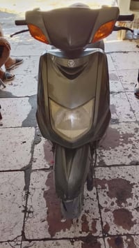 سكنس • ياباني • معدل