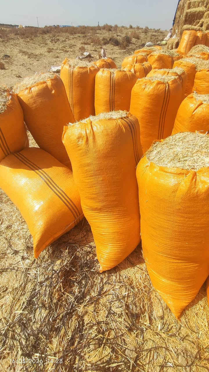 السلام عليكم ورحمه الله وبركاته تبن حنطه مطحون درجه اولى نضيف ابيض وناعم القياس 80*110 
للاستفسار الاتصال على الرقم التالي ***********
