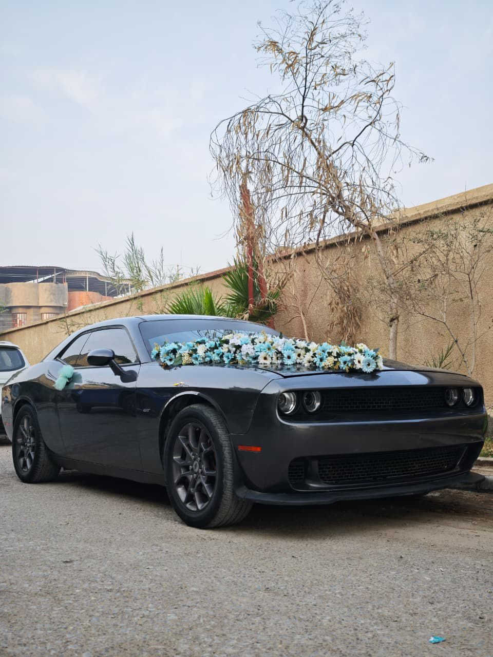 جالنجر ٢٠١٨
جالنجر موديل 18 gt 
رقم بغداد باسمي
فول مواصفات 
كشنات جلد شاشة كبيرة تنتة تحكمات 
ماشية 210 كيلو 
ضربتها خلفية صور الحادث بالمنشور
155 وبيها مجال حك الجيه
العنوان البصره شط العرب 
***********‬
