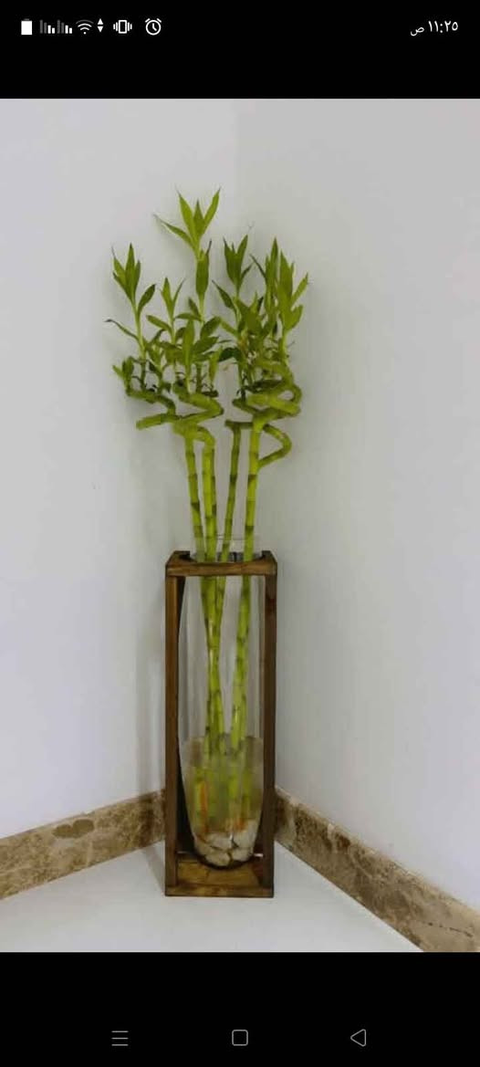 زرع مشتل الروان الشطره, ذي قار


**إذا كنت صاحب هذا الإعلان وتريد حذفه لأي سبب، رجاءا أرسل رسالة إلى الدعم الفني**