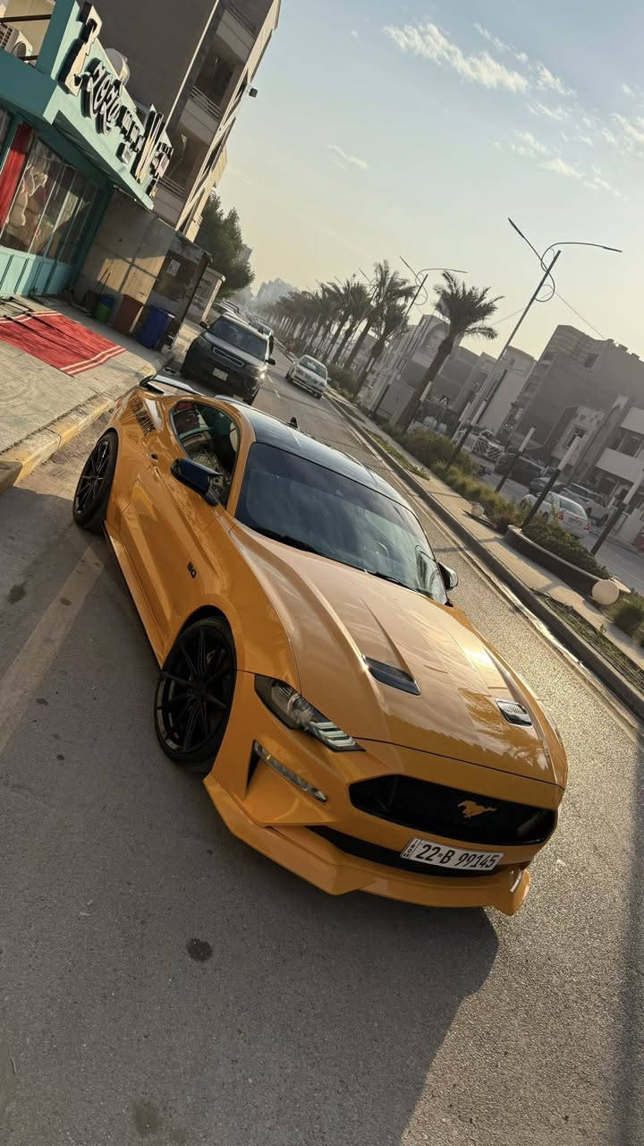 موستنك GT 2022 بريميوم فولل لل اخير
بجم كبس بدون ايرباك لون مميز برتقالي بلاك توب
قماره اسود بلادي اصل من وكال

 
مكينه (8سلندر) 5000cc
كير اوتو (10)نمر

السعر (270) شدتين و سبعين ورقه ورقه  وبيها مجال بسيط للشراي 
ماشيه(30)الف كيلو متر وليس ميل

مكان (بغداد-الحارثيه)
لون (برتقالي مميز) 
رقم تلفون *********** 

رقم اربيل الجديد فحص هزة جديد وسنويه باسمي تحويل ثاني يوم يعني ما تحير بصوت اكزوز لو وشومات لن هزة جديده
—————————————————————————
رقم شاصي(1FA6P8CF6N5118462)

سياره حادثها شبه كلين ركزلي على (ربع جاملغ صبغ) 
( ربع بنيد صبغ ما مفتوح براغي) تريد تعتبرها قطعه اعتبرها بس هيا ربع
وبل العراق بيها حادث بل جاملغ خلفي صبغ جاملغ نصه بدون تكم 
سياره راديتر وكالة مروحه وكالة ماي راديتر وكالة ما مبدل على وضع شركة حادثها سخيف كلش وصور حادث بل منشور   
وساحب تقرير  كار فاكس مالتها  بفلوس ايضاً ما بيها اي حادث مسبق ب امريكا او غرق الي يحب راسلني واتس اب ارسله تقرير 
   ————————————————————————

سياره كير مكينه اكسل كاردن صدرها بحالة الوكالة برغي ما مفتوح بيها بجم كبس البراكيته اماميه حتى ضربه مواصلتها 
سياره من دخلت حد الان مسويلها ادامة وصيانه كامله بشركة  فورد القاصد دهن  وفلتر دهن و فلاتر شوته و تبريد كلة وكالة اصلي
 دشبولها ماكو اي كلوب معتلك كله صافي 
—————————————————————————
نجي على مواصفات فول 1/1 ماعدا دجتال
١- تشغيل عن بعد
٢- شاشة كبيرة sync 3 كار بلي
٣-اكتف اكزوز حسب المود تفتح بوابات(نورمال-سبورت-تراك)
٤-فجوج بريمبو 6بستم
٦-دمام صوت بل صندوك وكالة
٧-تحديد مسار
٨-رادار امامي 
٩-رادار جانبي(نقطة عمياء)
١٠-رادار خلفي 
١١-حساسات خلفيه
١٢-كامرة خلفيه
١٥-ستيرن تدفئه هيتر
١٦-خمس وضعيات قياده(نورمال-سبورت-تراك)
١٧-ترحيب بل مرايه
١٨-هيترات بل مرايه
٢٠-سستم سماعات 
٢١-لايت زنون ابيض من وكالة
٢٢-شعار الموستنك ضوئي من الابواب بلادي 
٢٣-شعار موستنك ضوئي متغير بل دوسات بلادي
٢٥-كشنات جلد 
—————————————————————————

اضافات عليها 
٣- ولف حماوه مشميتو ١٢٠ دولار
٤-اكس بايب+ اج بايب 
٧-لحية ار تي ار ١٠٠ دولار
٨-دوسات جانبيه ام زعنفه ١٠٠دولار
٩-سكوب جامه خلفيه ٨٠دولار
١١-شفتات ستيرن ٣٥الف
١٣-وشم وتضليل ب١٠٠دولار
١٤-صبغ فجوج ولحاية ويل ١٢٠دولار صبغ حراري اصلي
١٥- تفريغ اكزوز ودوان بايب واكس بايب و لحيم اصلي يم علي وادي اركون من طول لل طول استيل حتى مقاومة للصداء وبوري اعرض ٥٠٠دولار صوته مخيف
١٦-برمجة طلال فور برذر برمجة سيفتي قطرة دوانز ماكو تستقبل بانزين محسن ٣٠٠دولار 
١٧-شفقه خلفيه على جامه خلفيه ١٠٠دولار
١٨-لويات تهبيط نصبه سياره ٢٠٠ دولار
١٩-كفرات مري باتمان
٢٠- اضافة لحية ار تي ار ٩٠ الف
٢١-لد سموك بل دعاميه خلفية جانبي ب٥٠ دولار
٢٢- لد سموك بل دفيوزر خلفي ب٩٠دولار 
٢٣- بولش ونانو سيراميك يم NVN ب٢٥٠ دولار

سياره ربع دينار ما بيها مصرف كامله من اي نقص

