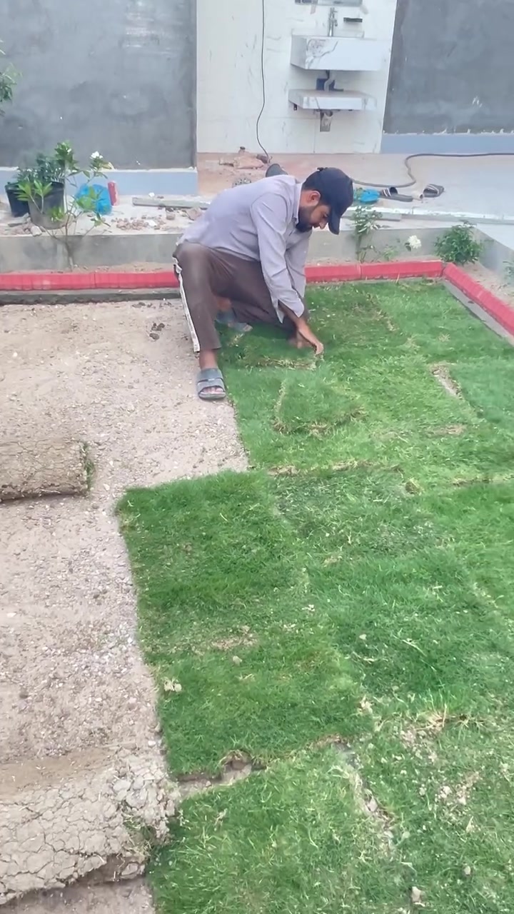 ✅ شغلي اليوم الثلاثاء
.يتوفر كادر عمل متميز لترتيب افضل ديكورات الحدائق.. وكذلك يوجد ثيل درجة اولى امريكي  + هندي وبأسعار مناسبه الرقم 

***********
