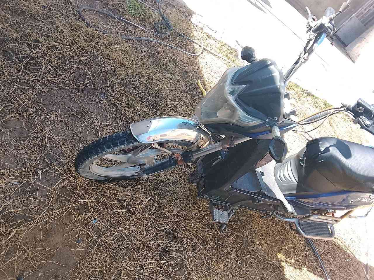 نوع
هارلي
 ✅بطاريات عل فحص✅
⭕لايت عالي ناصي 
⭕ شاشه الكترونيه 
⭕نظام ®️ الرجوع الى الخلف
⭕ نظام 4 سرع 1234 
⭕ بريك امامي، خلفي 
⭕ اشاير يمين، يسار
⭕تشغيل عن بعد 
⭕ جهاز انذار سرقه
⭕ شاحنه الشركه الاصليه 
⭕ كلشي شغال كهربائيات 
الموطور نظيف مثل ما موضح بالصور 
(( السعر 225 )( بي مجال)رقمي مكاني شهداء
***********
