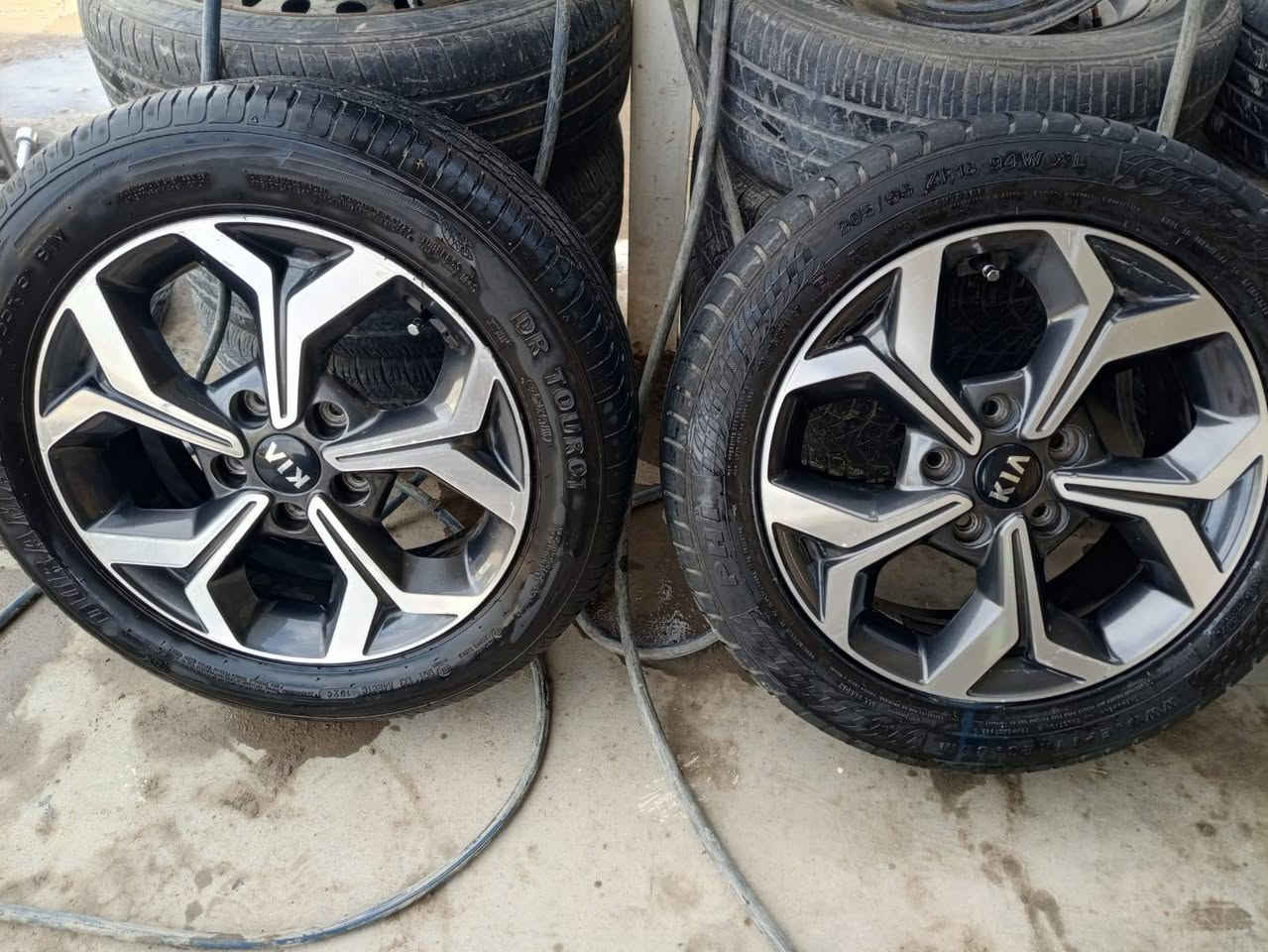 تخم ويل كب فورتي سيراتو أصلي شركة الحجم 16العنوان بغداد الشعلة ***********
***********
