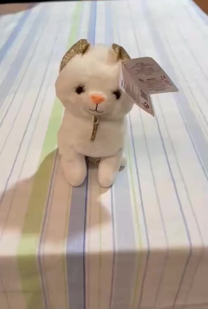 🛑 ألعاب سوبر كريم 🛑
توفرت عند محمود للألبسه ولآحذية  الأوربيه لجملة ولمفرق .
♦️لسا موجود كياس فرو كريم♦️
_____________________
0986987969 محمود
____________________
‏تابع قناة محمودللألبسه الأوربيه في واتساب: https://whatsapp.com/channel/0029Vb7Rrga6GcGJNUVIZk2D
_____________________
دمشق وفي شحن


**إذا كنت صاحب هذا الإعلان وتريد حذفه لأي سبب، رجاءا أرسل رسالة إلى الدعم الفني**