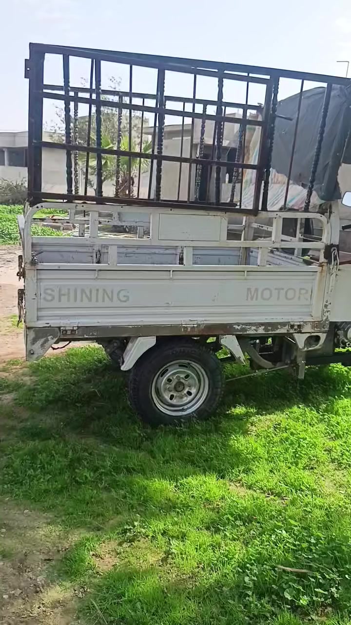 ستوته أبو صقر فحل موديل 2018 أوراق كامل للبيع مكاني ديالى خانقين ***********
