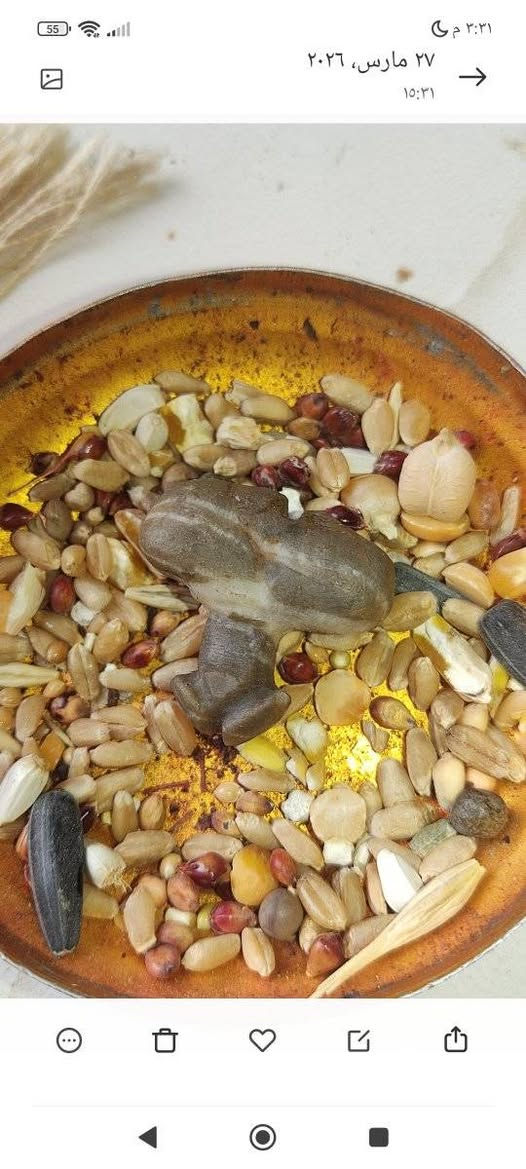 حجار سلطاني شغل سفلي  قديمات مال دفع تقويه علاقات رومانسيه حب وحنان عجاب شديد فووول مال زماط وتحدي للبيع ***********
