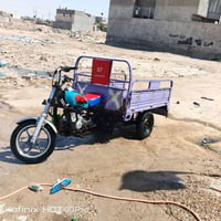 ستوته • ستوته جمره • ستوته كربلائية • ستوته 2022 • ستوته مكفوله • شاصي...