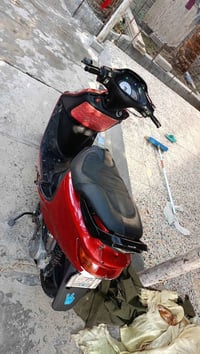 دراجة فرشة • بلا نقص • بصرة